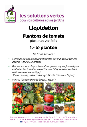 Liquidation plantons tomate