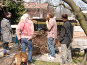 Compost 1