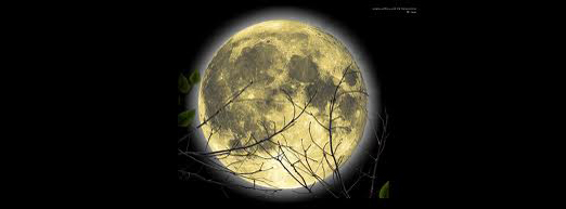 Lune